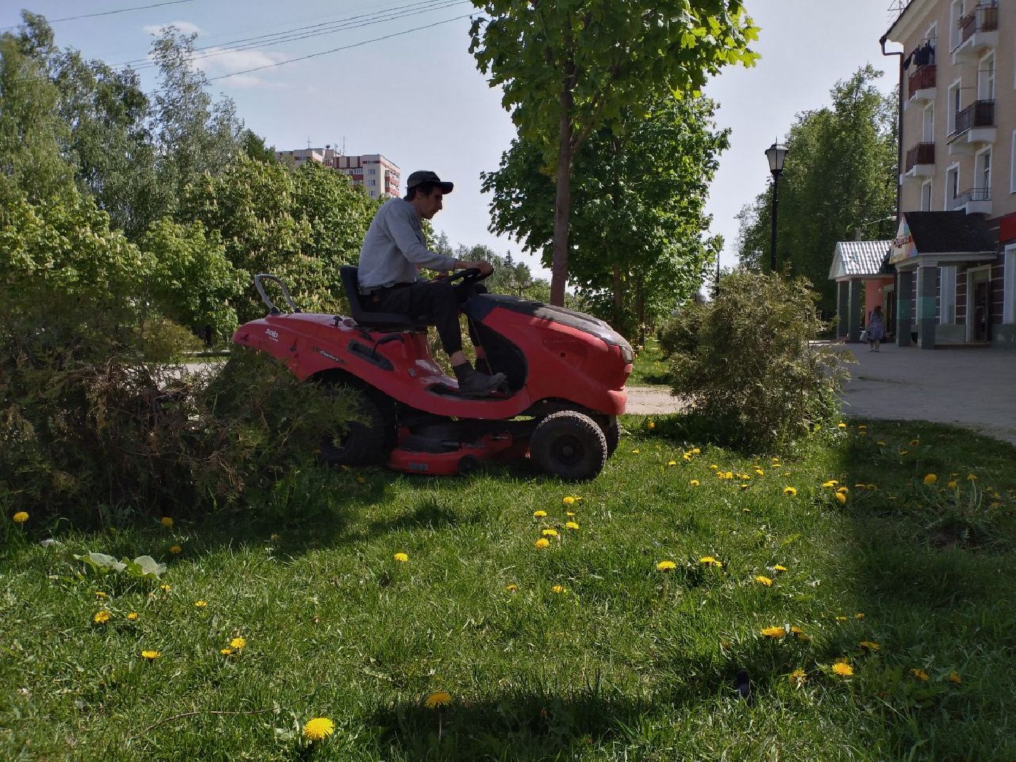 покос травы, благоустройство, Лосино-Петровский