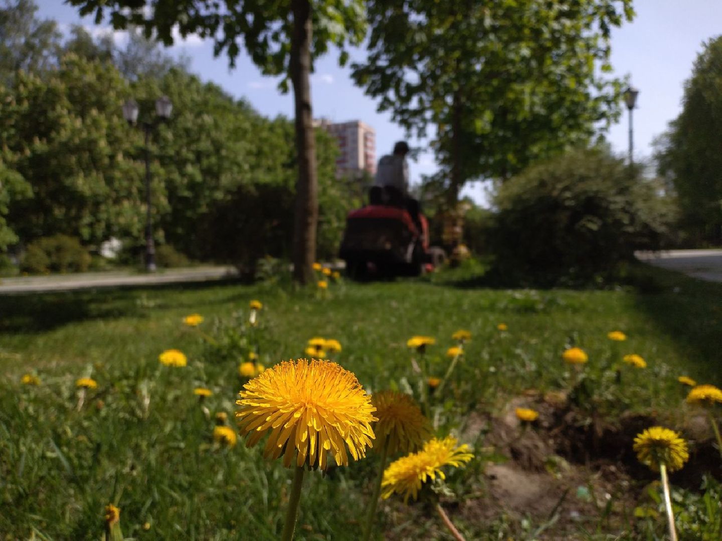 покос травы, благоустройство, Лосино-Петровский