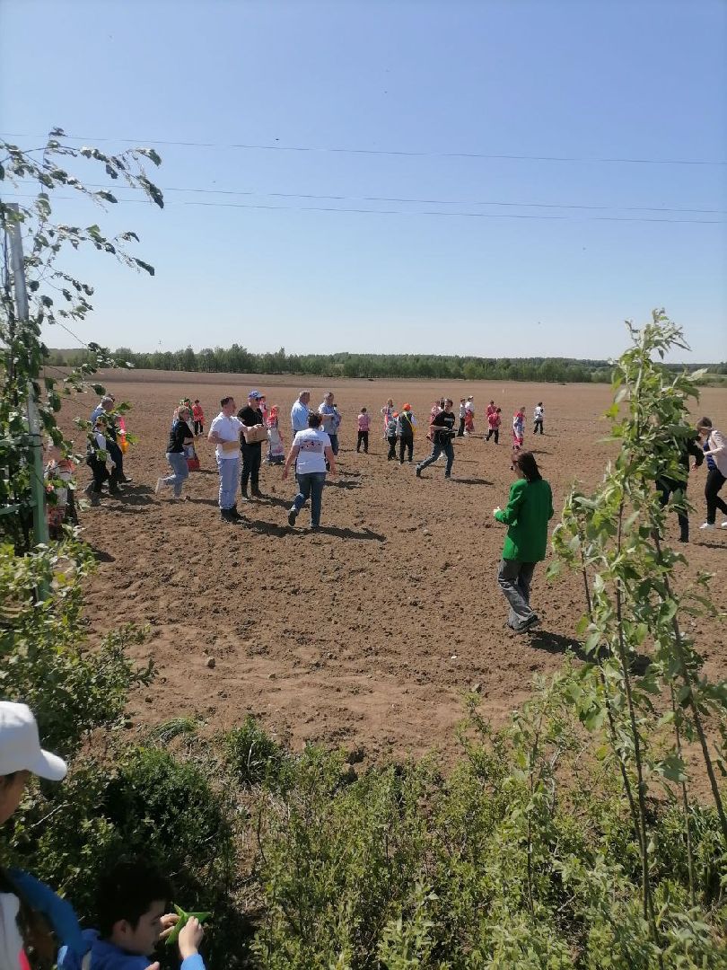 экоакция, талдом, общество, засев журавлиного поля, журавли, фестиваль