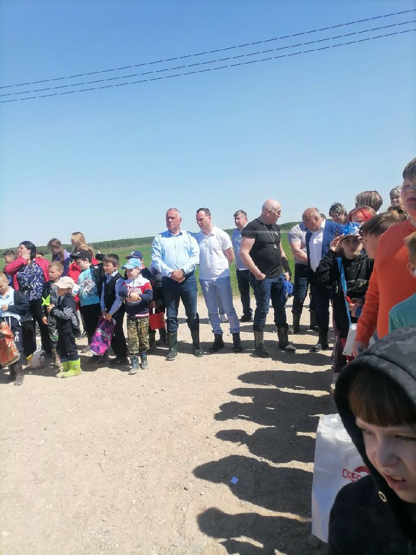 экоакция, талдом, общество, засев журавлиного поля, журавли, фестиваль