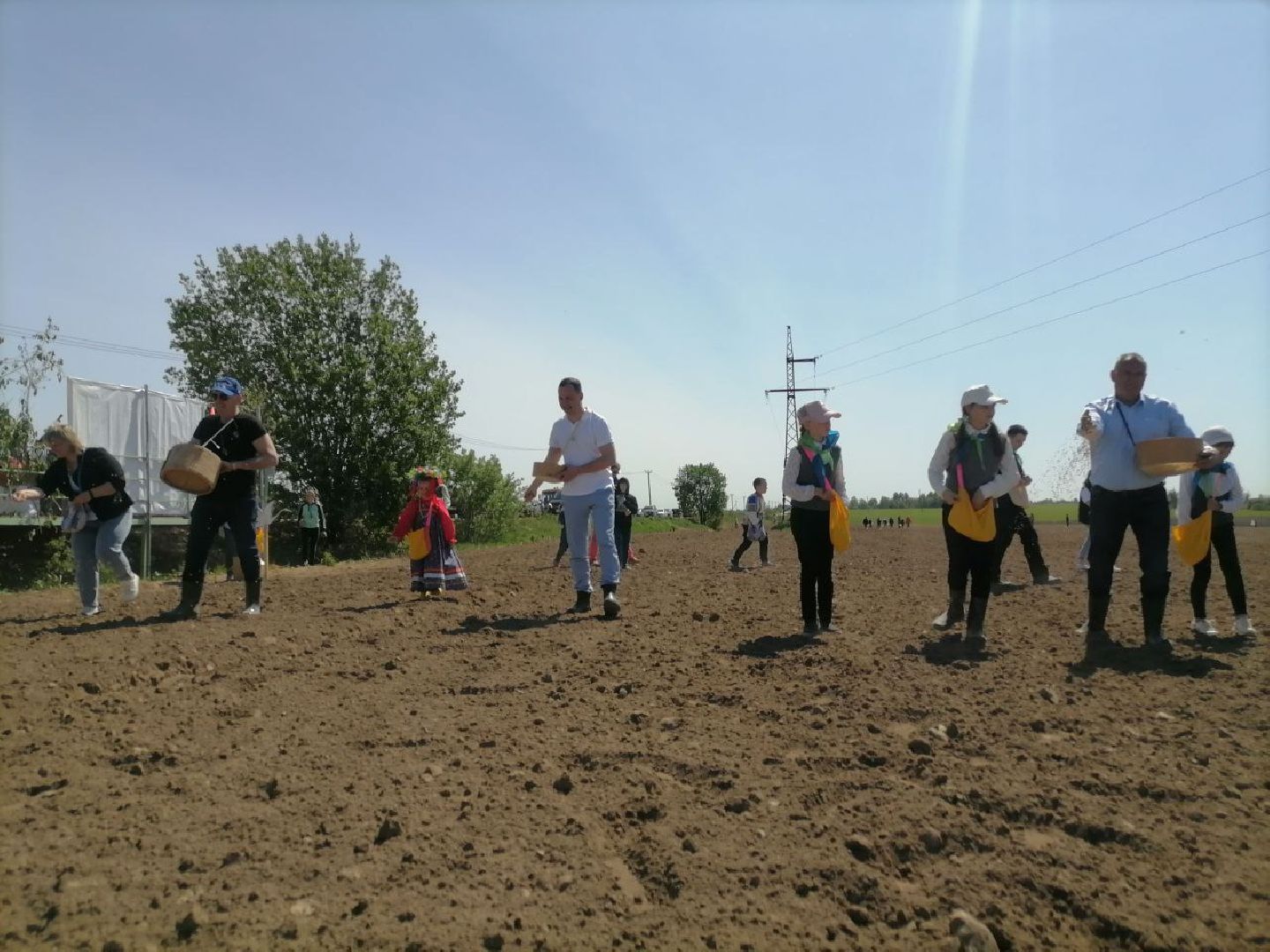 экоакция, талдом, общество, засев журавлиного поля, журавли, фестиваль