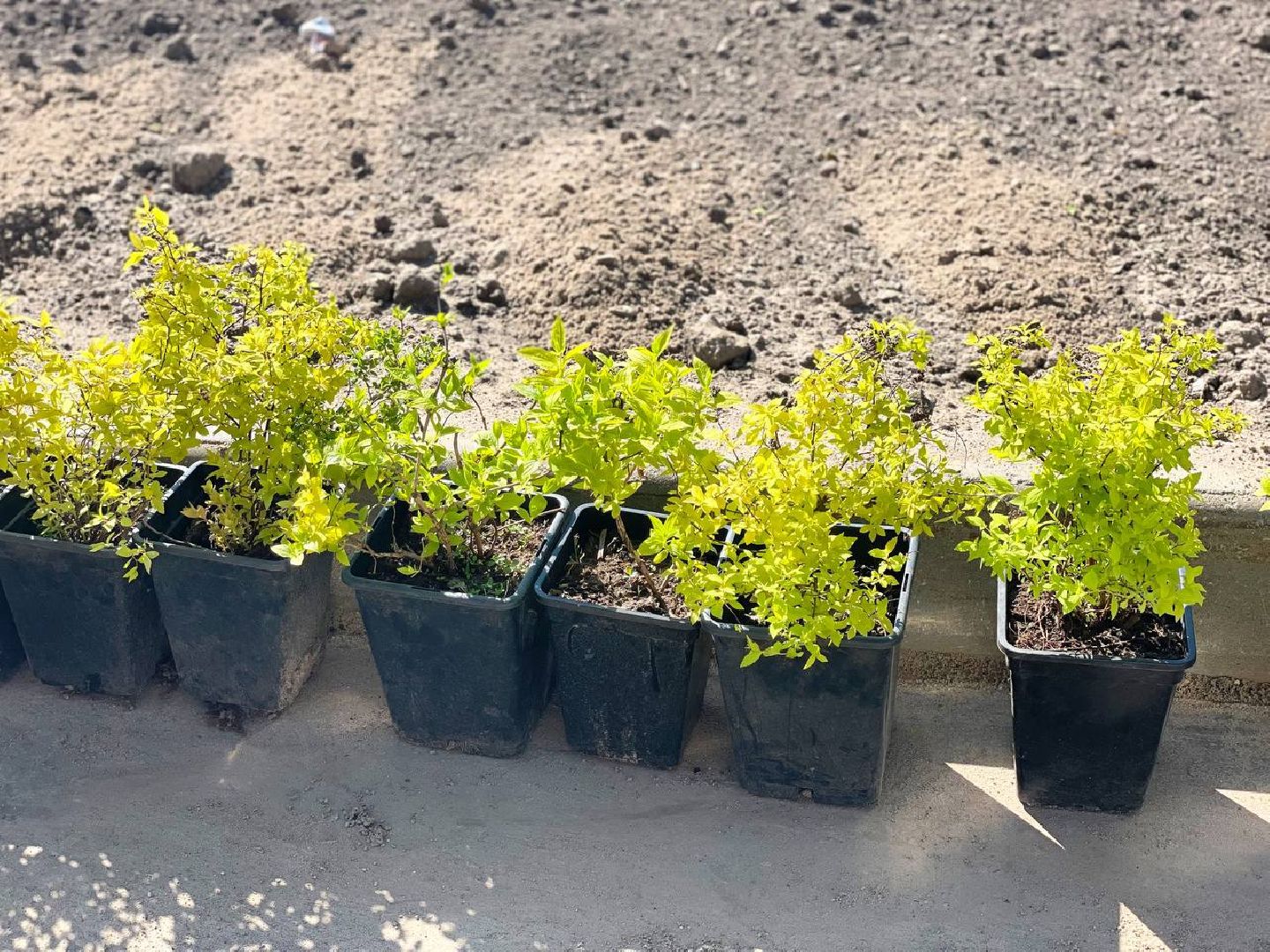 Сергиев Посад, Сергиево-Посадский городской округ, Субботник, Экология, Благоустройство, Уборка, Порядок, Жители, Общество