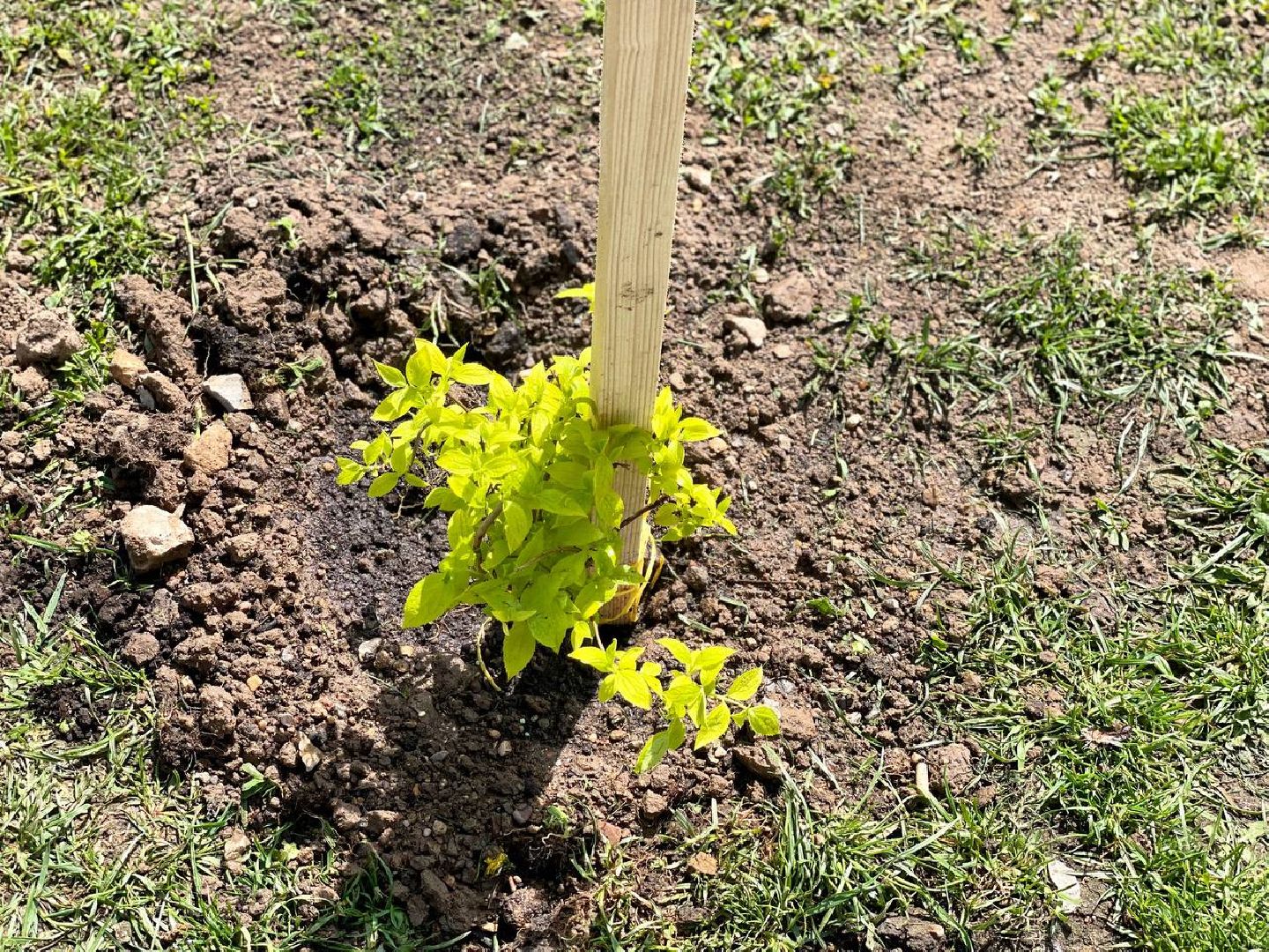 Сергиев Посад, Сергиево-Посадский городской округ, Субботник, Экология, Благоустройство, Уборка, Порядок, Жители, Общество