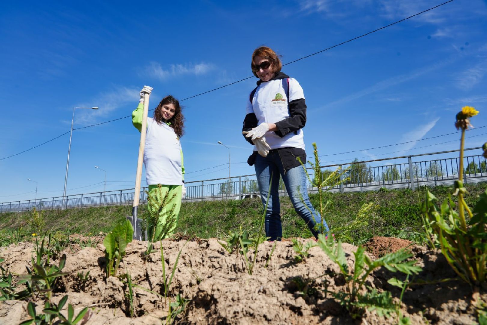 Сергиев Посад, Сергиево-Посадский городской округ, Экология, Лес Победы, Озеленение, ЭкоАкция