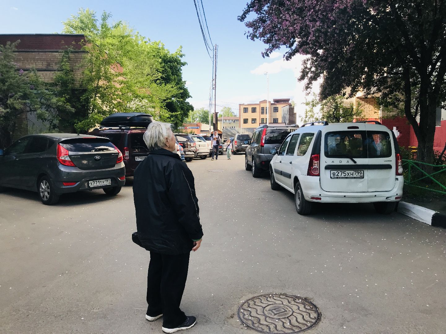 Балашиха, дикие яблони, сакура, черёмуха, сирень, груша, озеленение, благоустройство, цветущий город