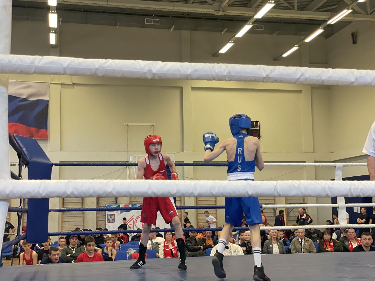 Спорт, бокс, Люберцы