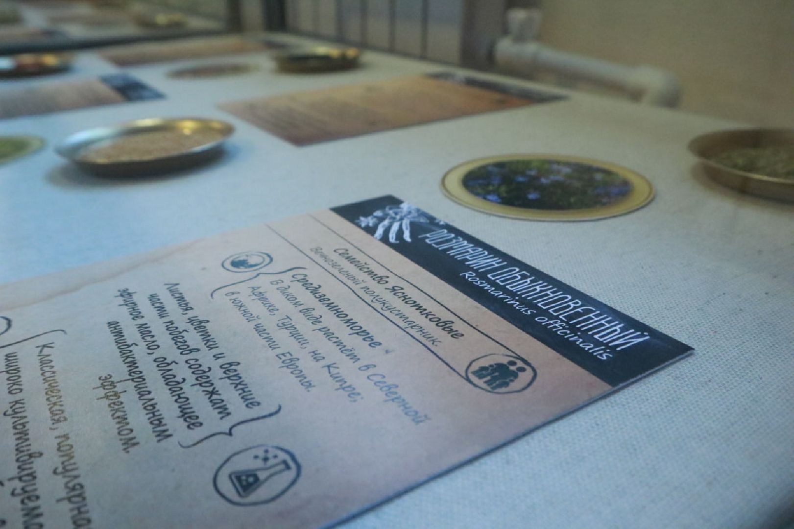 Пущино, культура, выставки