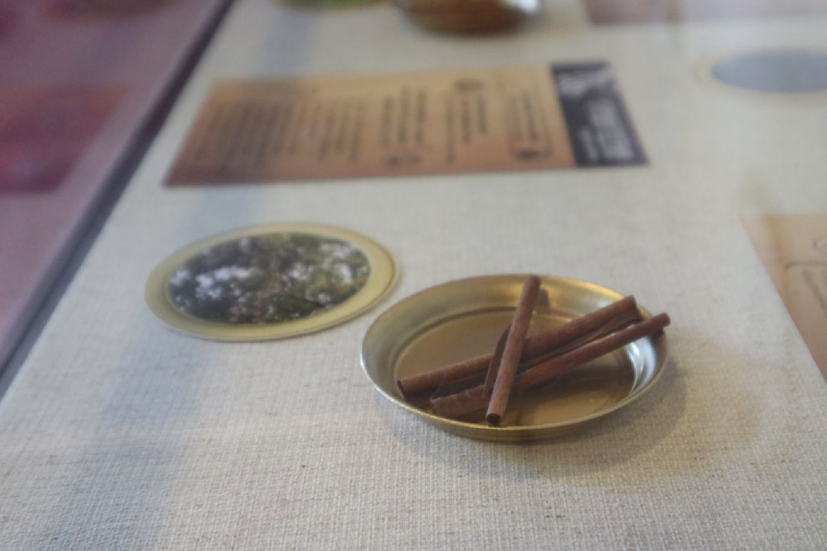 Пущино, культура, выставки