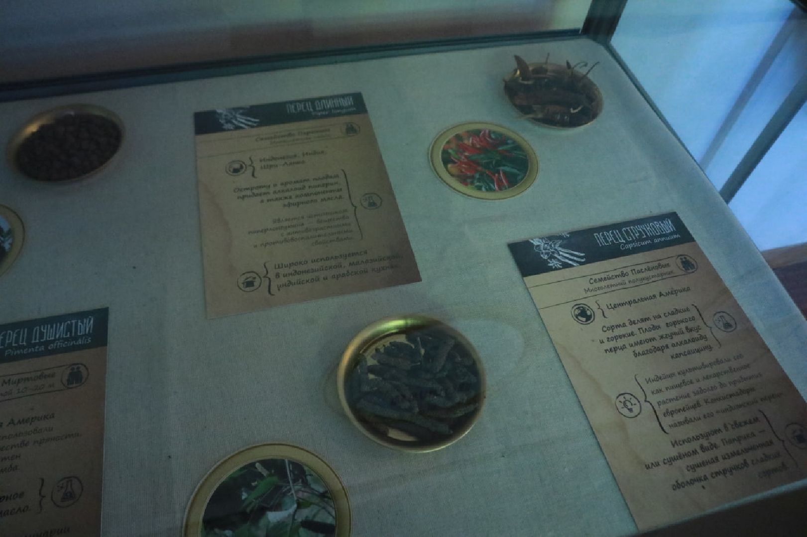 Пущино, культура, выставки