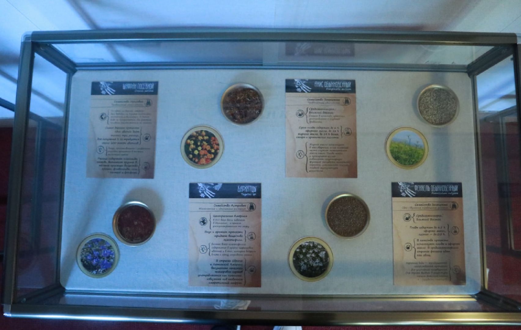 Пущино, культура, выставки