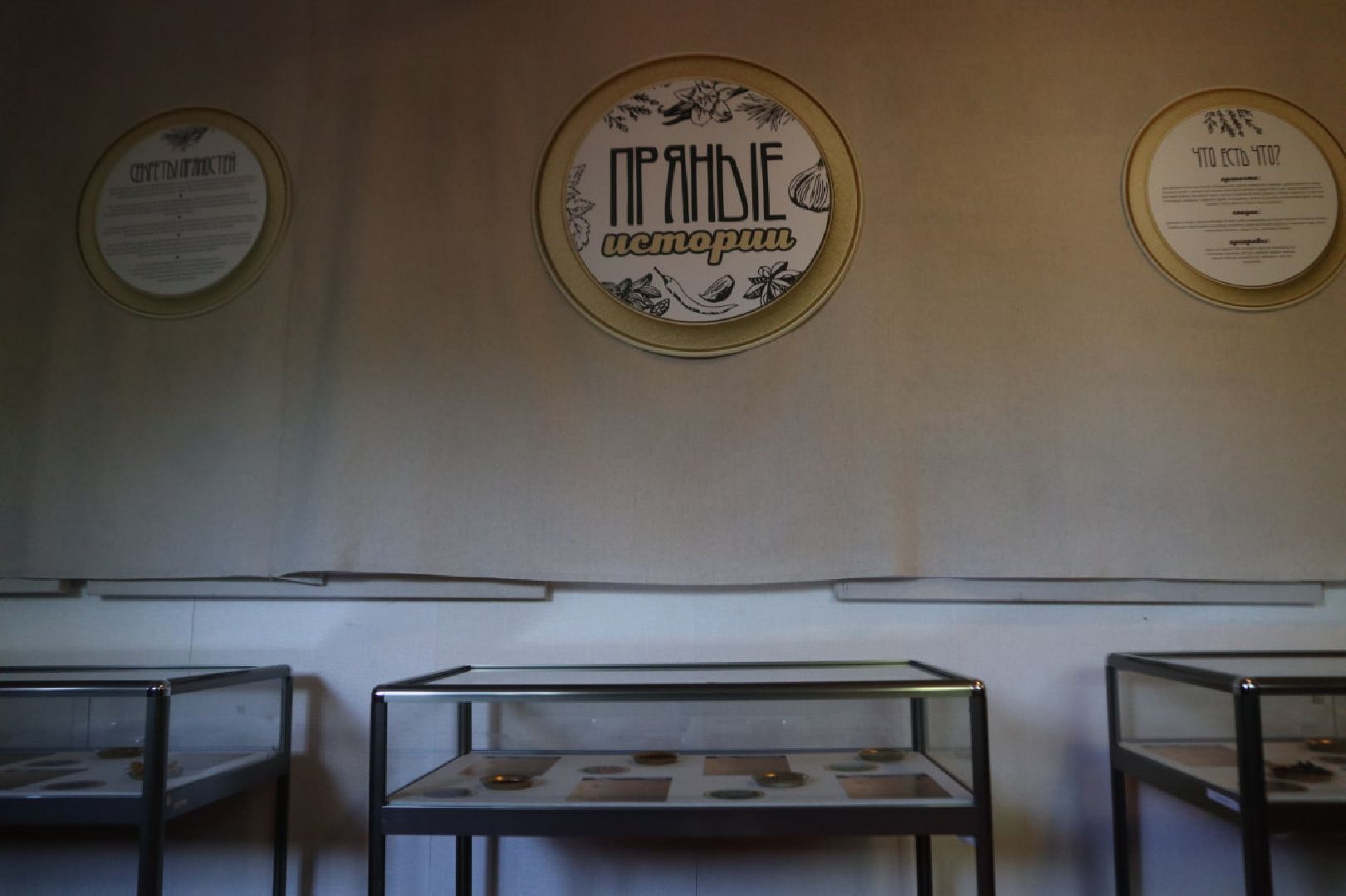 Пущино, культура, выставки