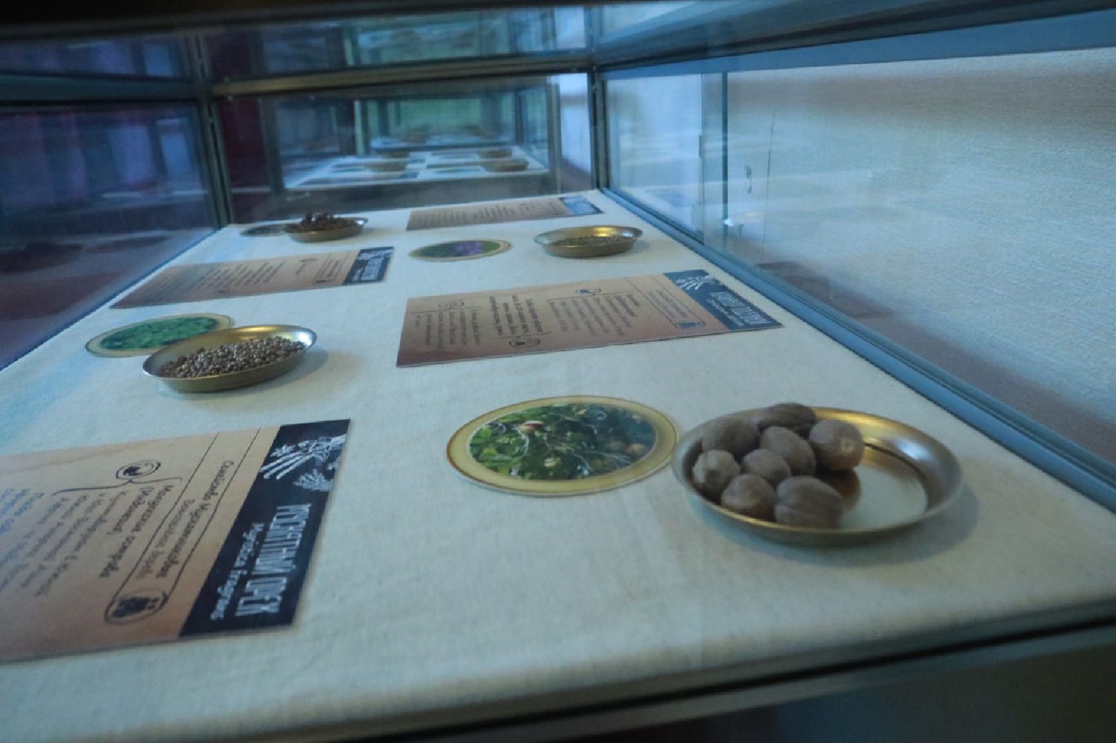 Пущино, культура, выставки