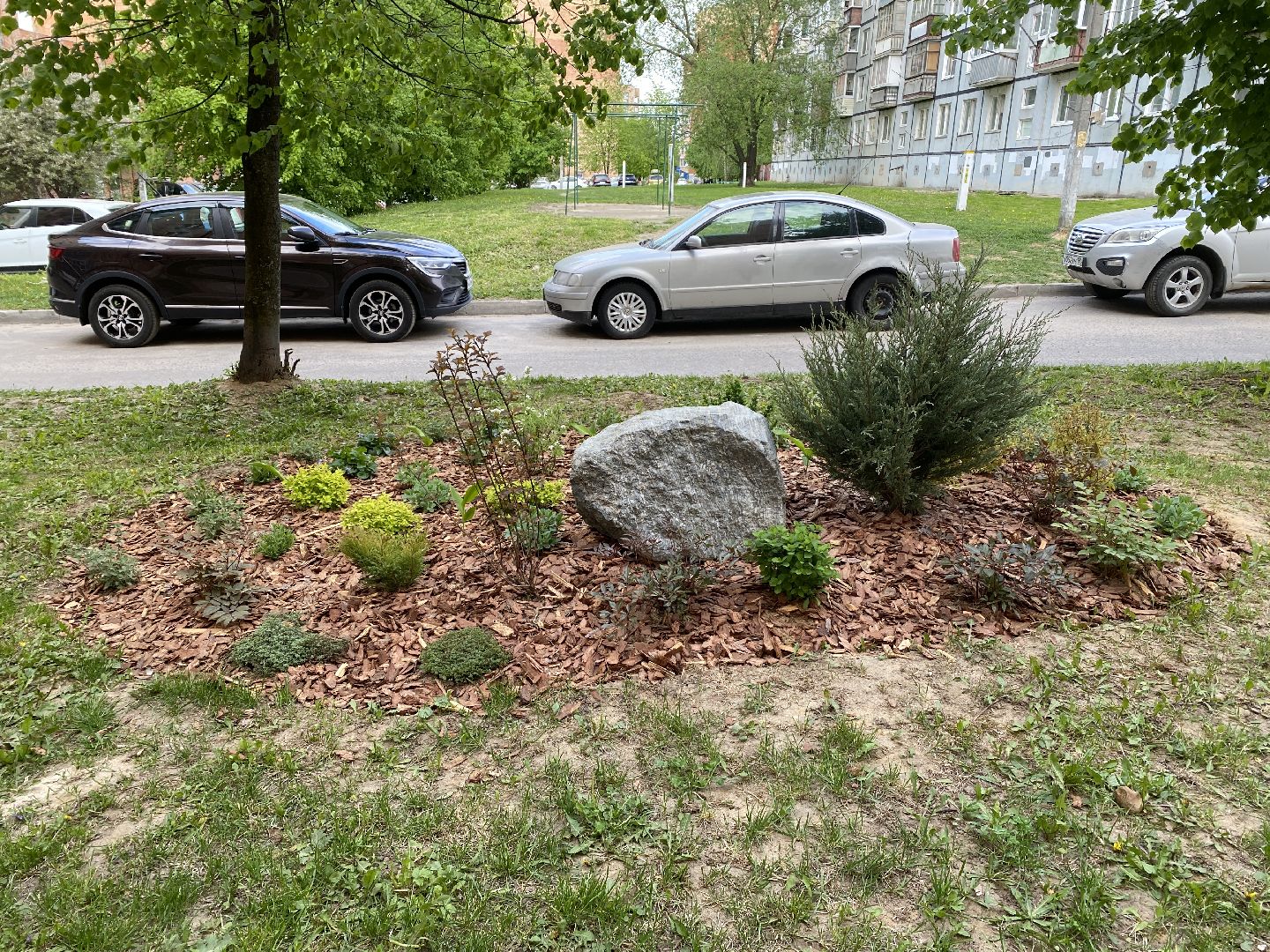 Чехов, благоустройство, клумбы, дизайн, житель