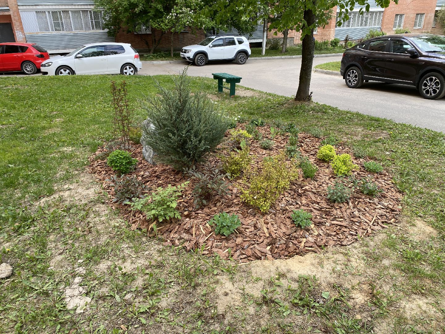 Чехов, благоустройство, клумбы, дизайн, житель