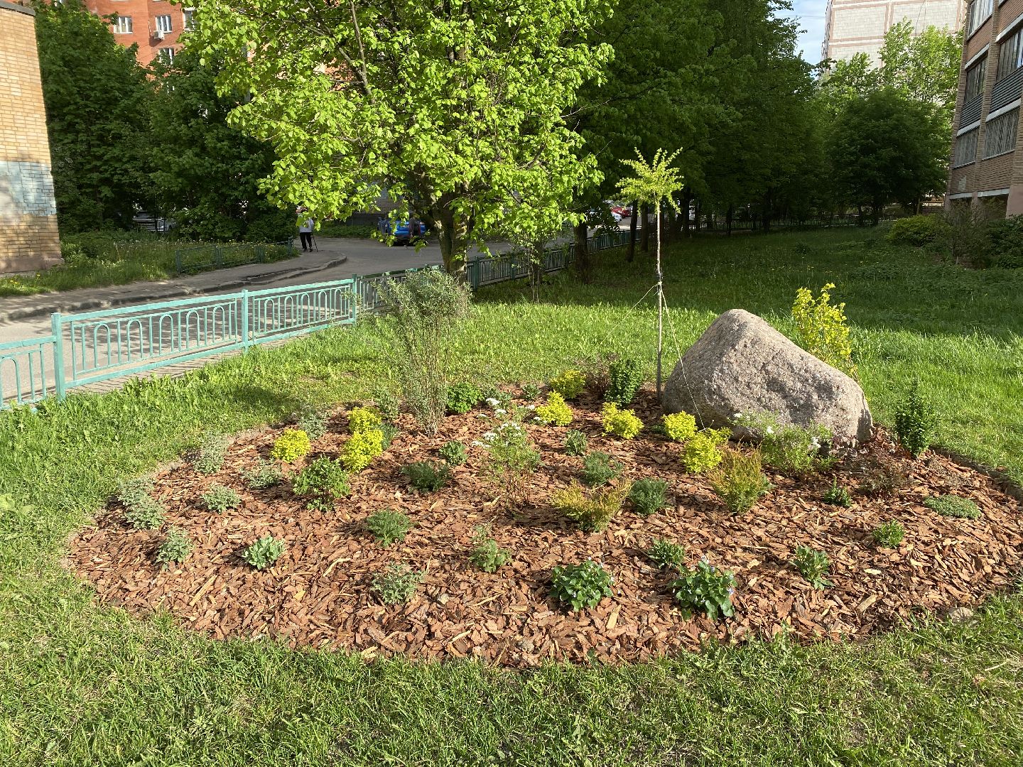 Чехов, благоустройство, клумбы, дизайн, житель