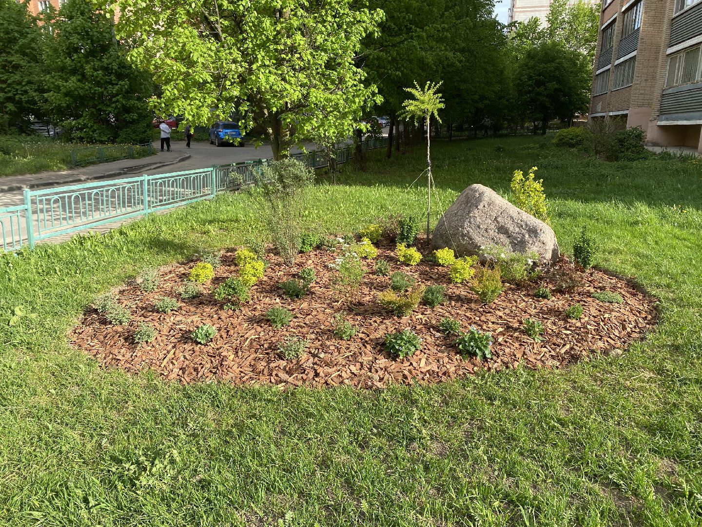 Чехов, благоустройство, клумбы, дизайн, житель