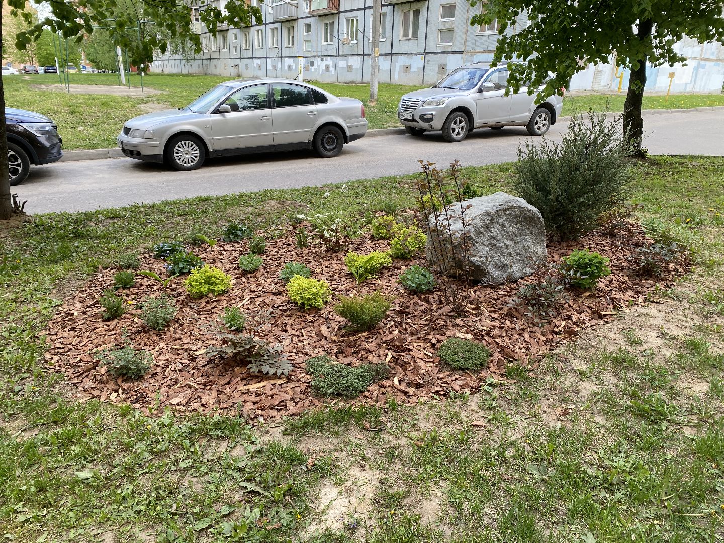 Чехов, благоустройство, клумбы, дизайн, житель