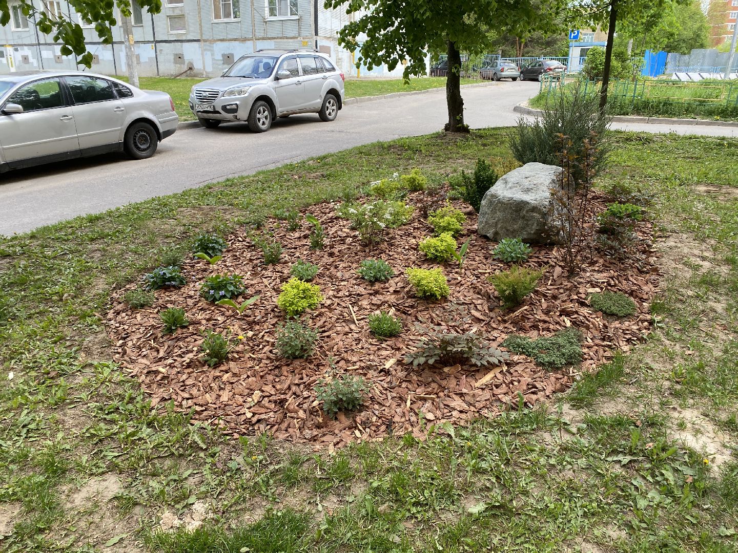 Чехов, благоустройство, клумбы, дизайн, житель