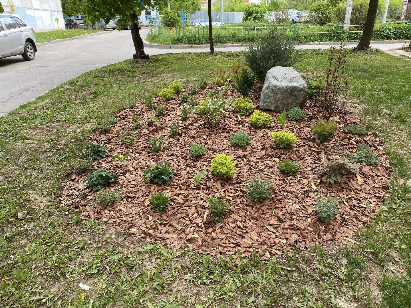 Чехов, благоустройство, клумбы, дизайн, житель