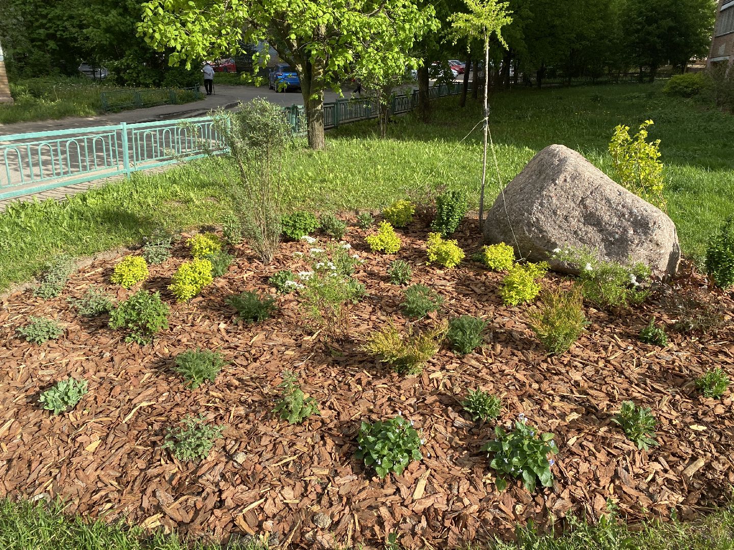 Чехов, благоустройство, клумбы, дизайн, житель