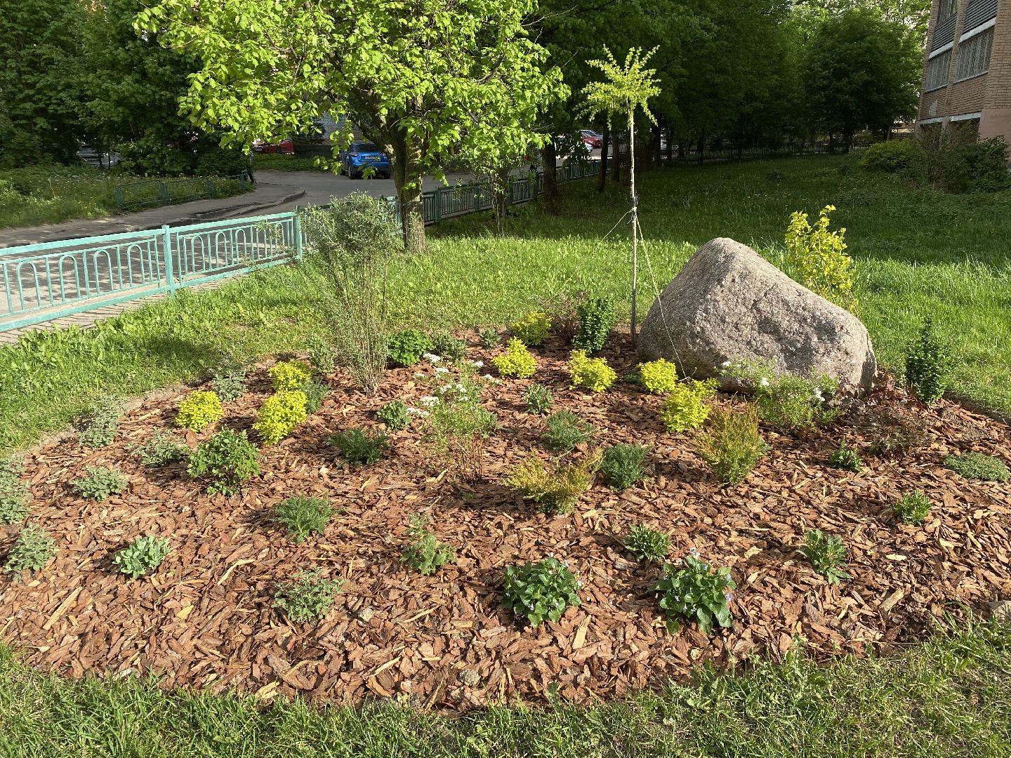 Чехов, благоустройство, клумбы, дизайн, житель