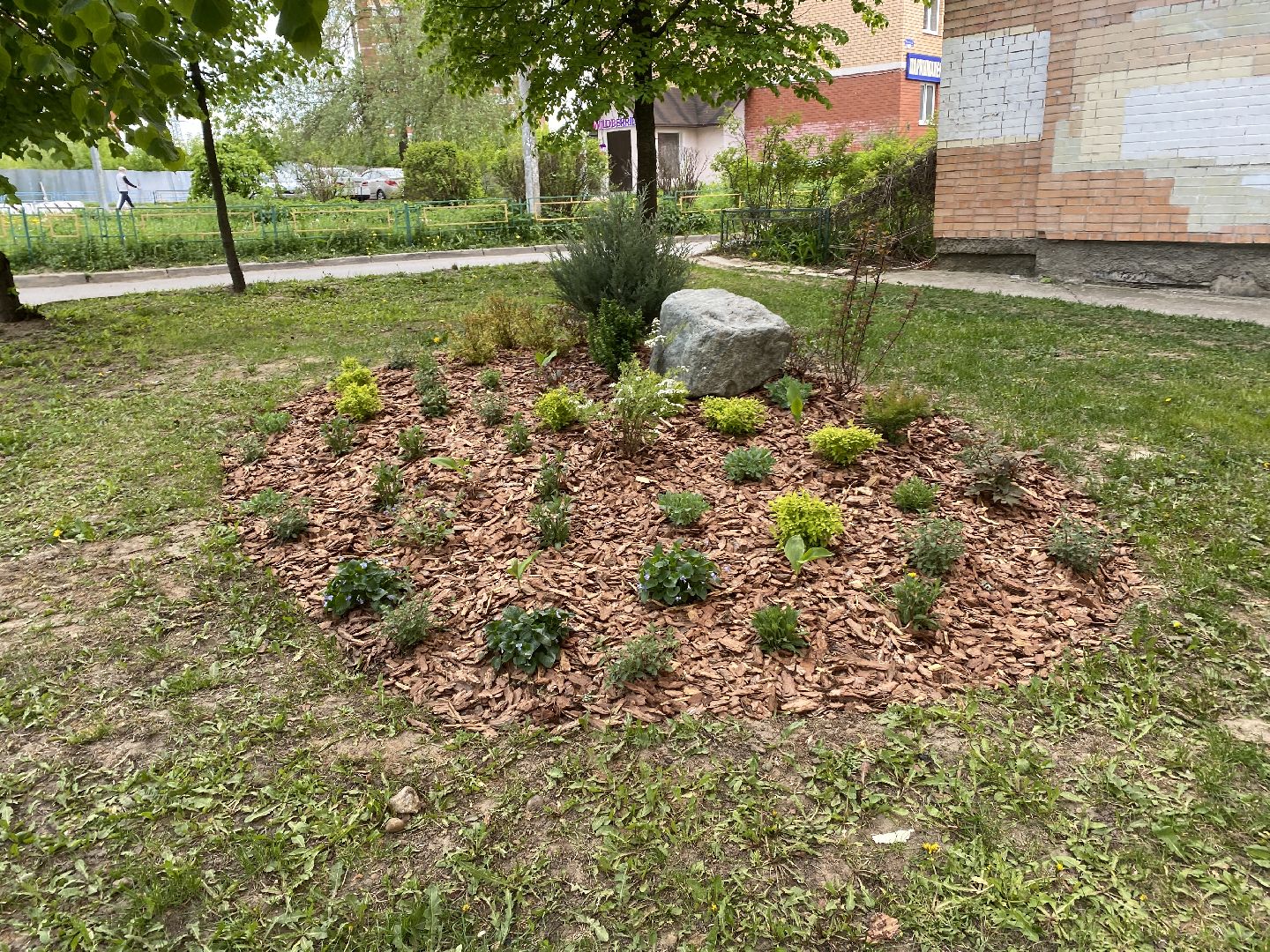 Чехов, благоустройство, клумбы, дизайн, житель