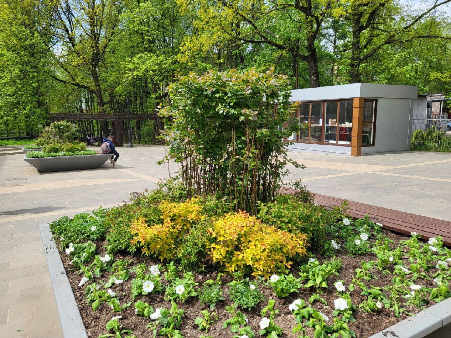 Город, Власиха, ГУСТ, озеленение, ландшафтный дизайн