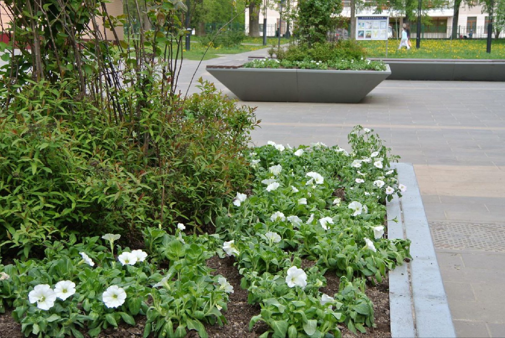 Город, Власиха, ГУСТ, озеленение, ландшафтный дизайн