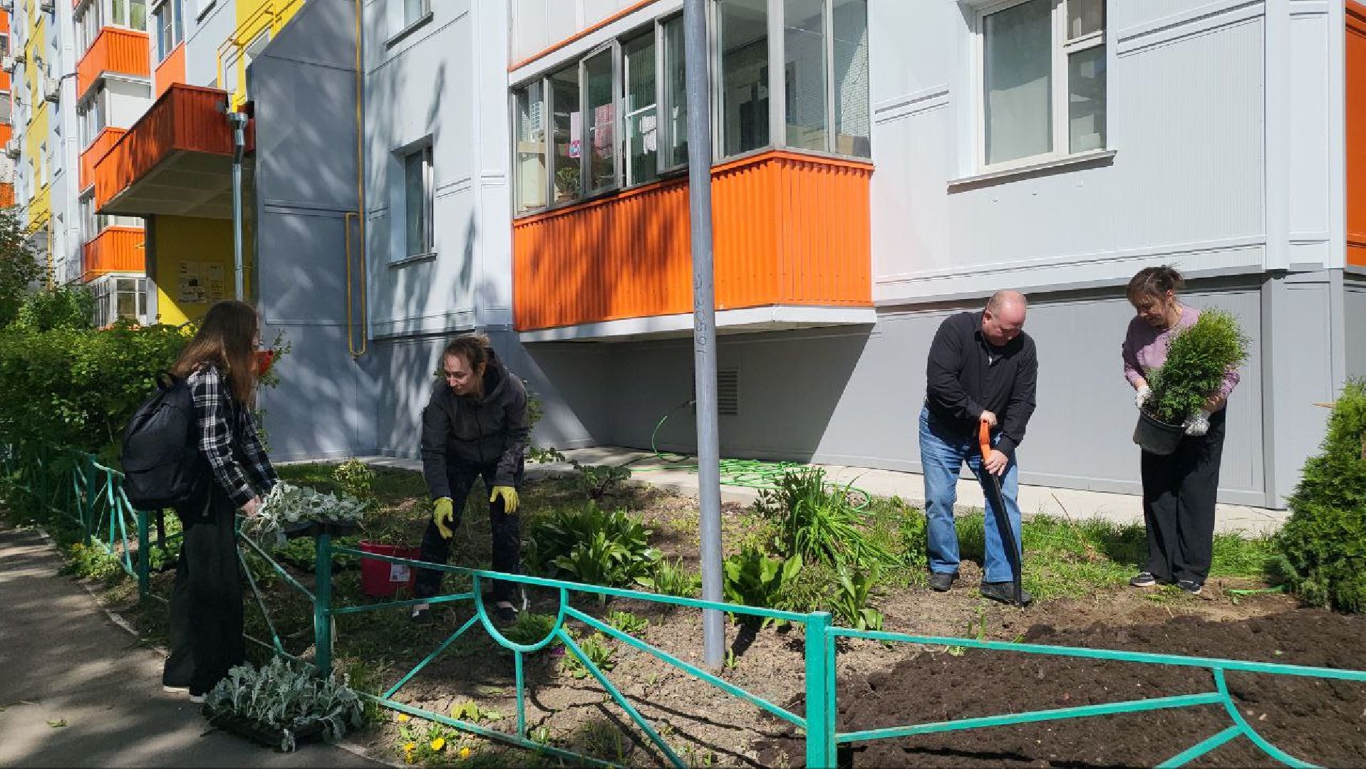 Город, Власиха, ГУСТ, озеленение, ландшафтный дизайн