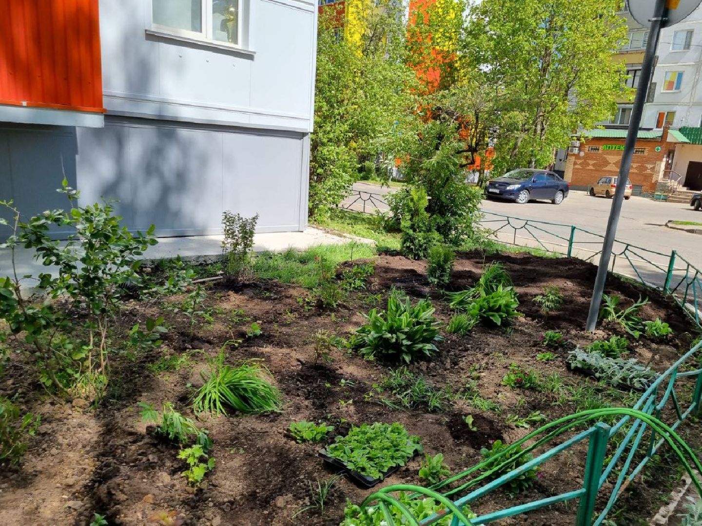 Город, Власиха, ГУСТ, озеленение, ландшафтный дизайн