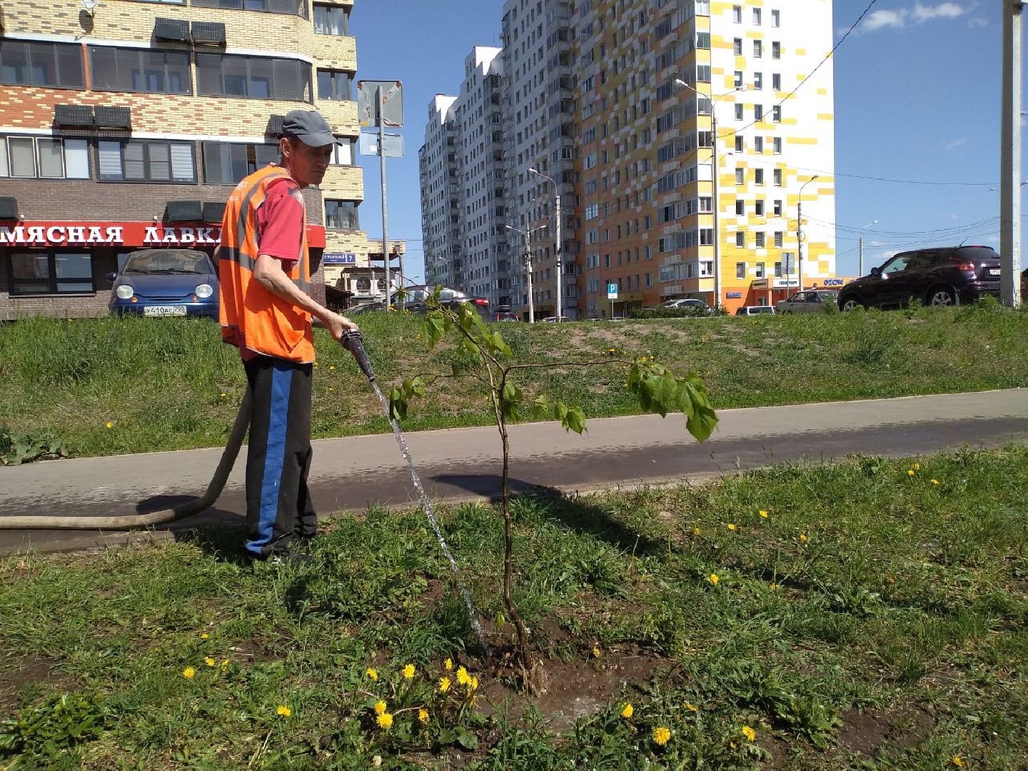 благоустройство, экология, Лосино-Петровский