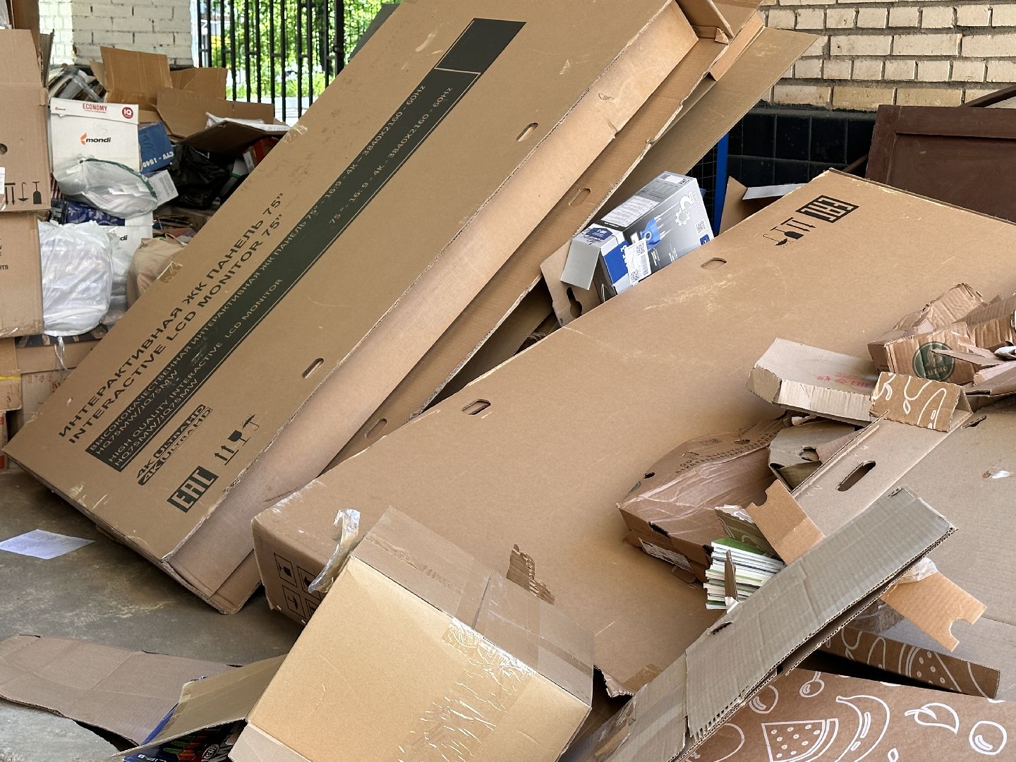 Одинцово, Всероссийский эко-марафон, макулатура, спаси дерево