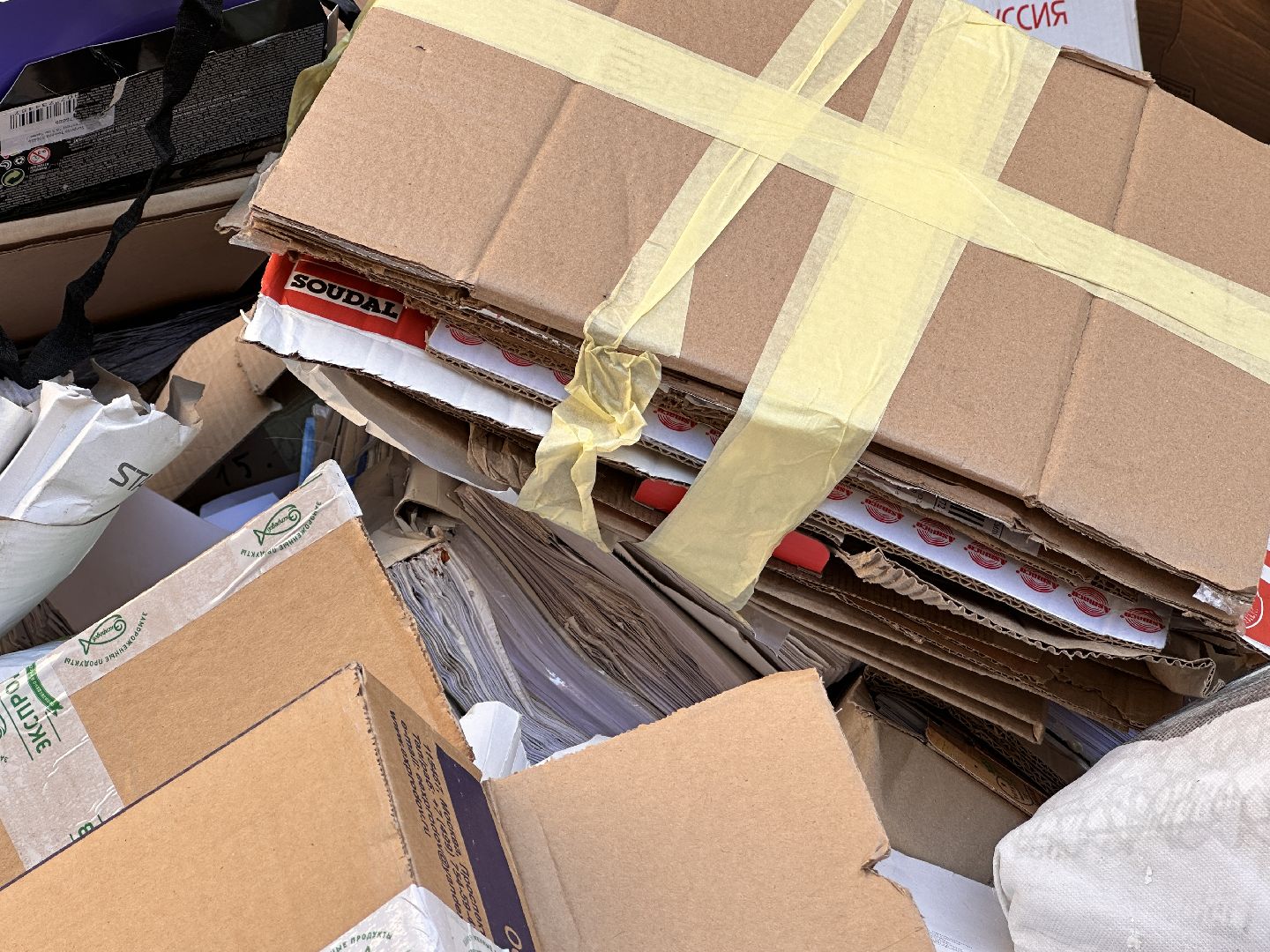 Одинцово, Всероссийский эко-марафон, макулатура, спаси дерево