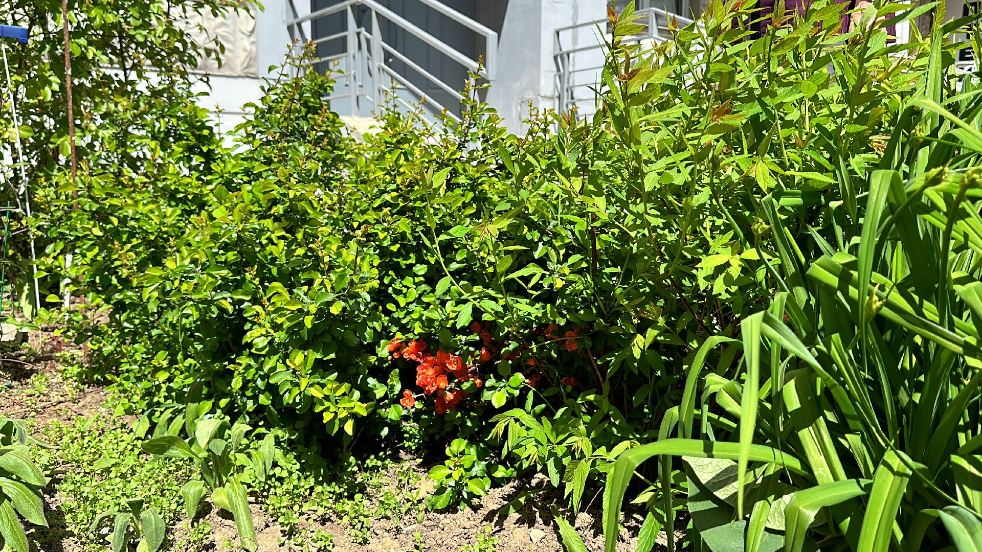 Одинцово, Экология, Общество, Благоустройство