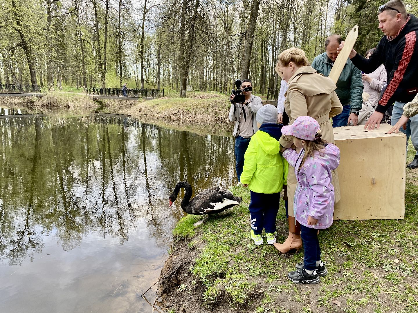 Клин, парки, лебеди, люди