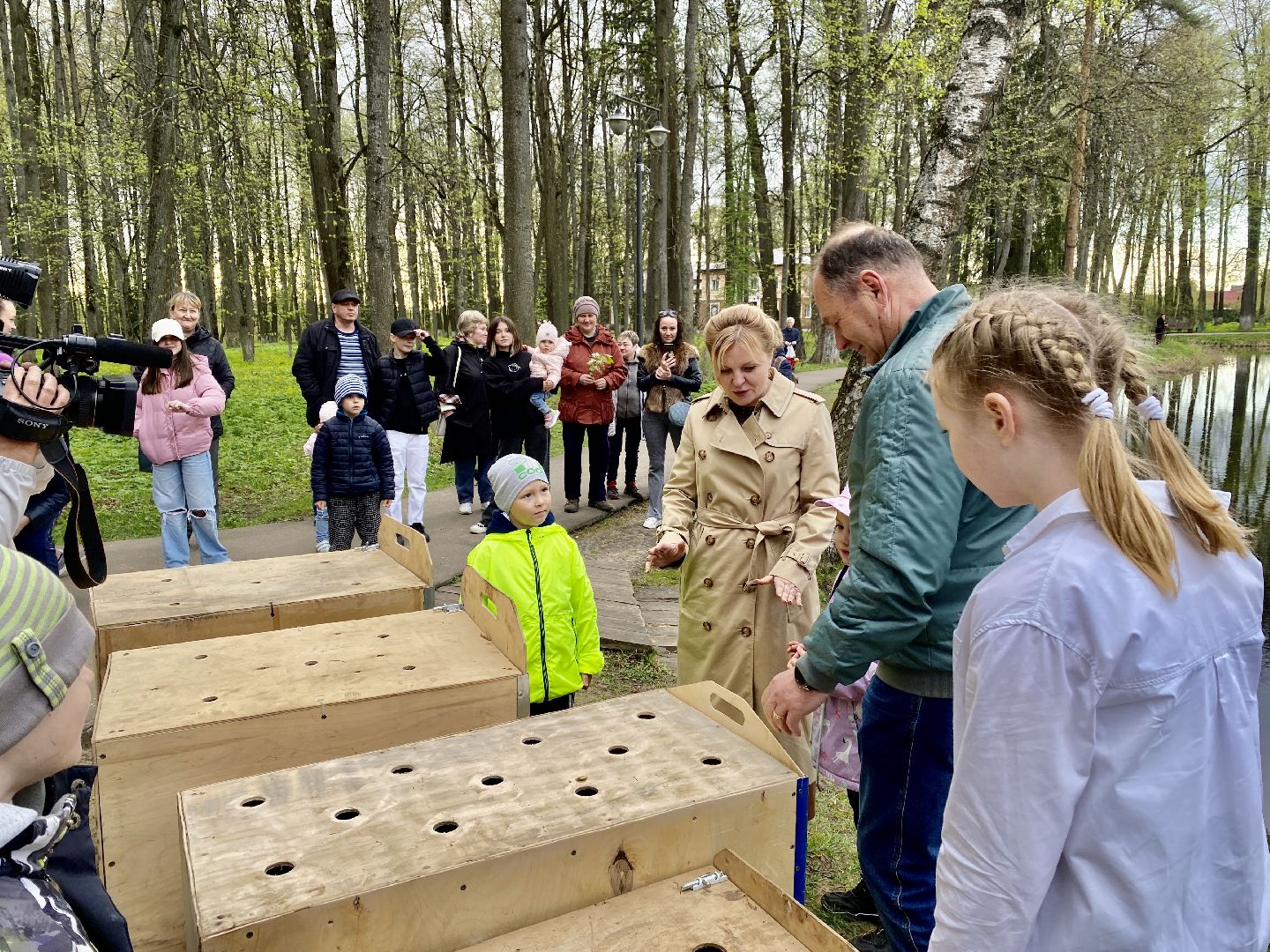 Клин, парки, лебеди, люди