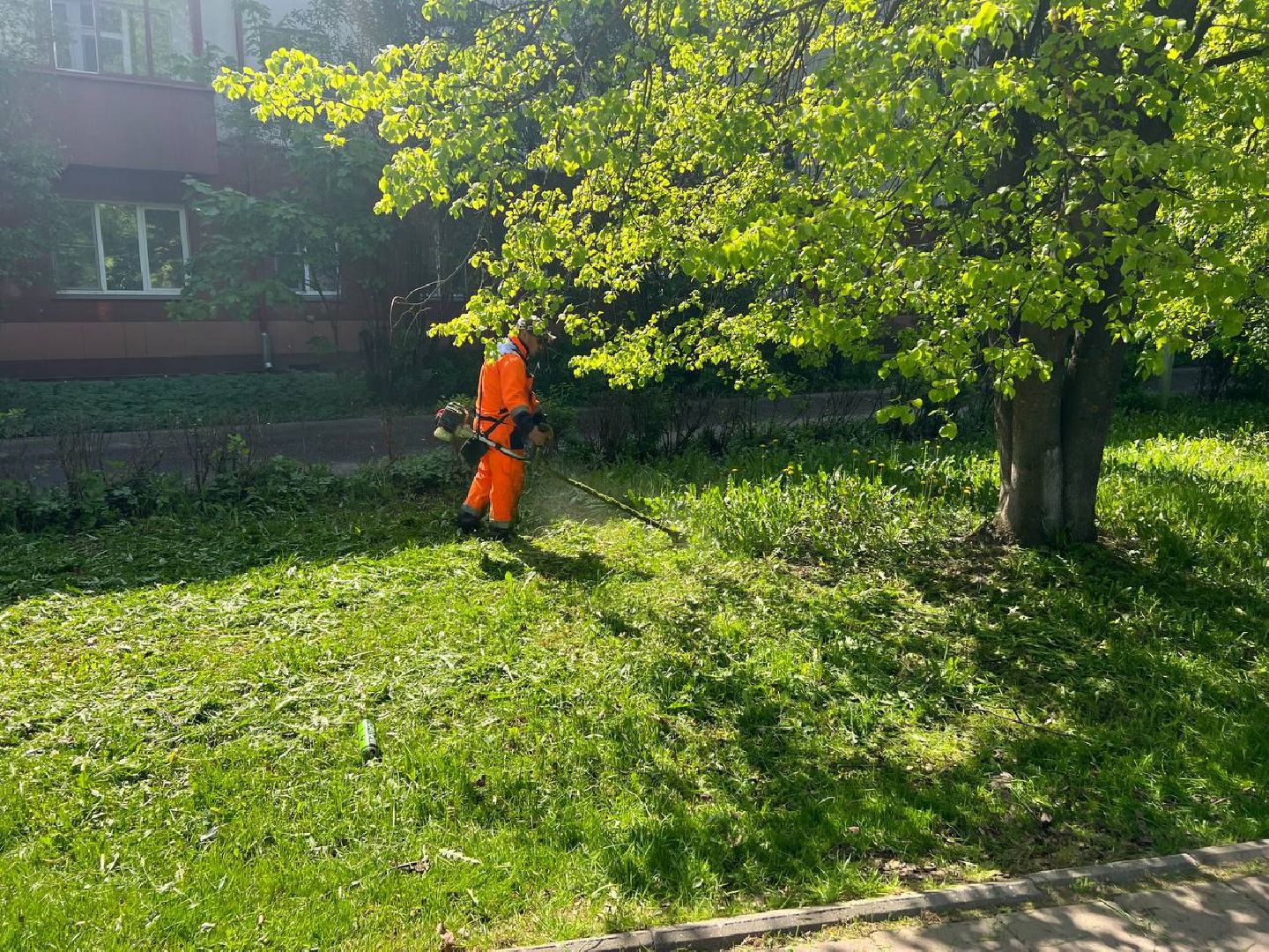 Солнечногорск, благоустройство, содержаниетерриторий, порядок, мбу