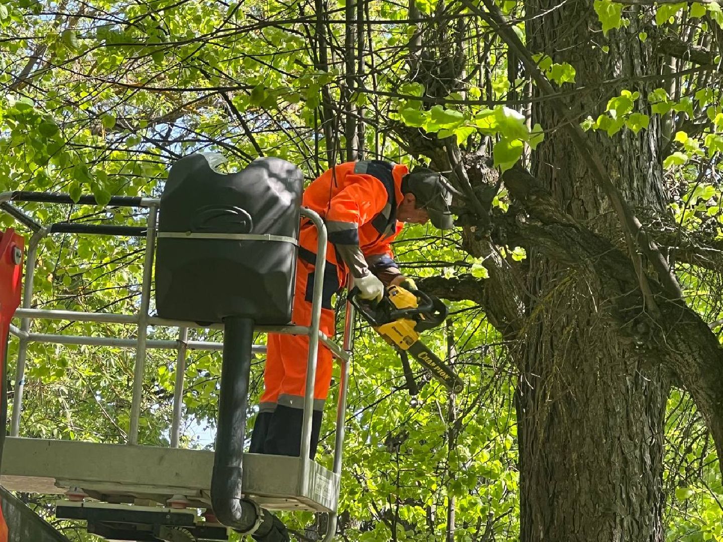 Солнечногорск, благоустройство, содержаниетерриторий, порядок, мбу