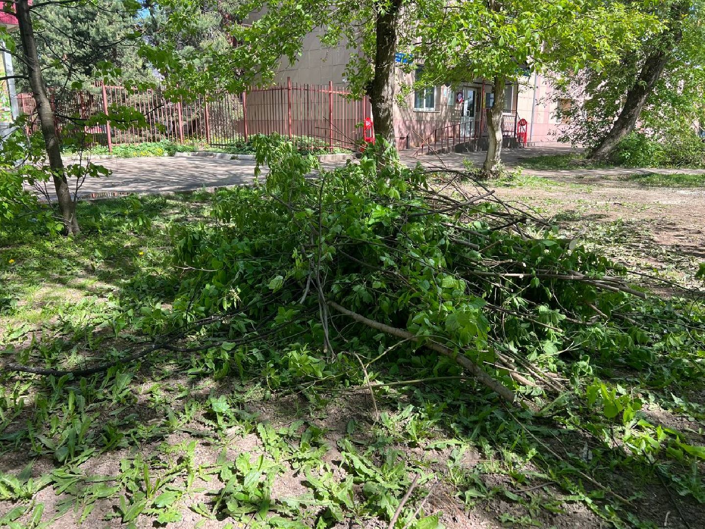 Солнечногорск, благоустройство, содержаниетерриторий, порядок, мбу
