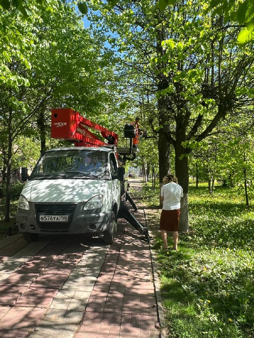Солнечногорск, благоустройство, содержаниетерриторий, порядок, мбу