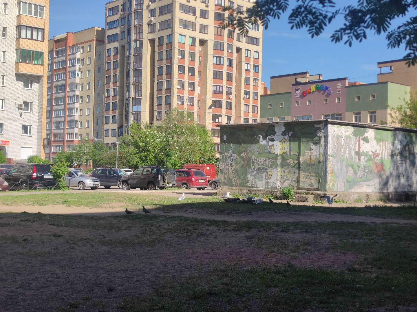 покос травы, двор, Дубна