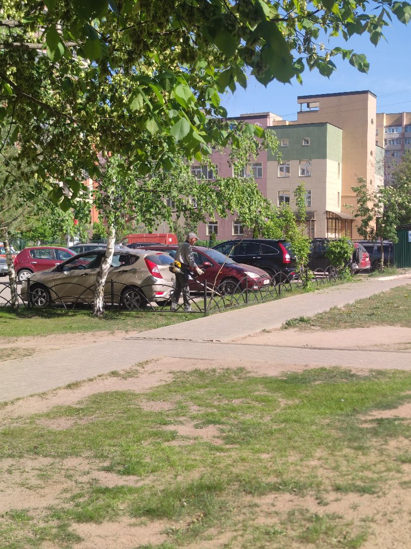 покос травы, двор, Дубна