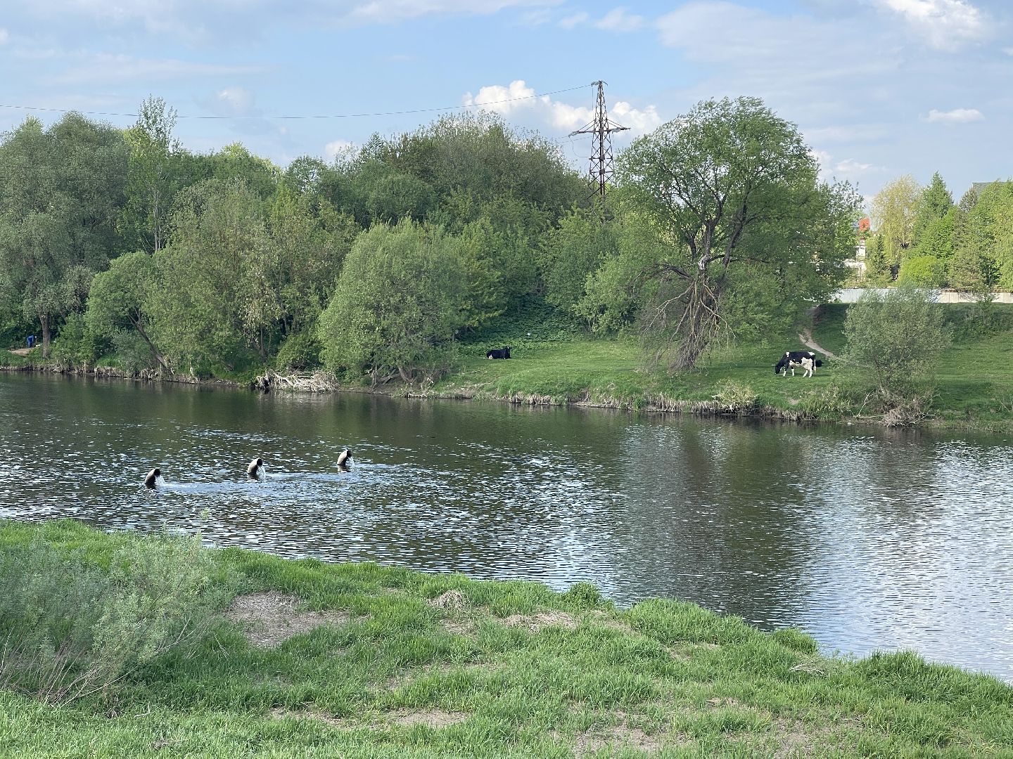 Одинцово, Звенигород, канализация, очистка,