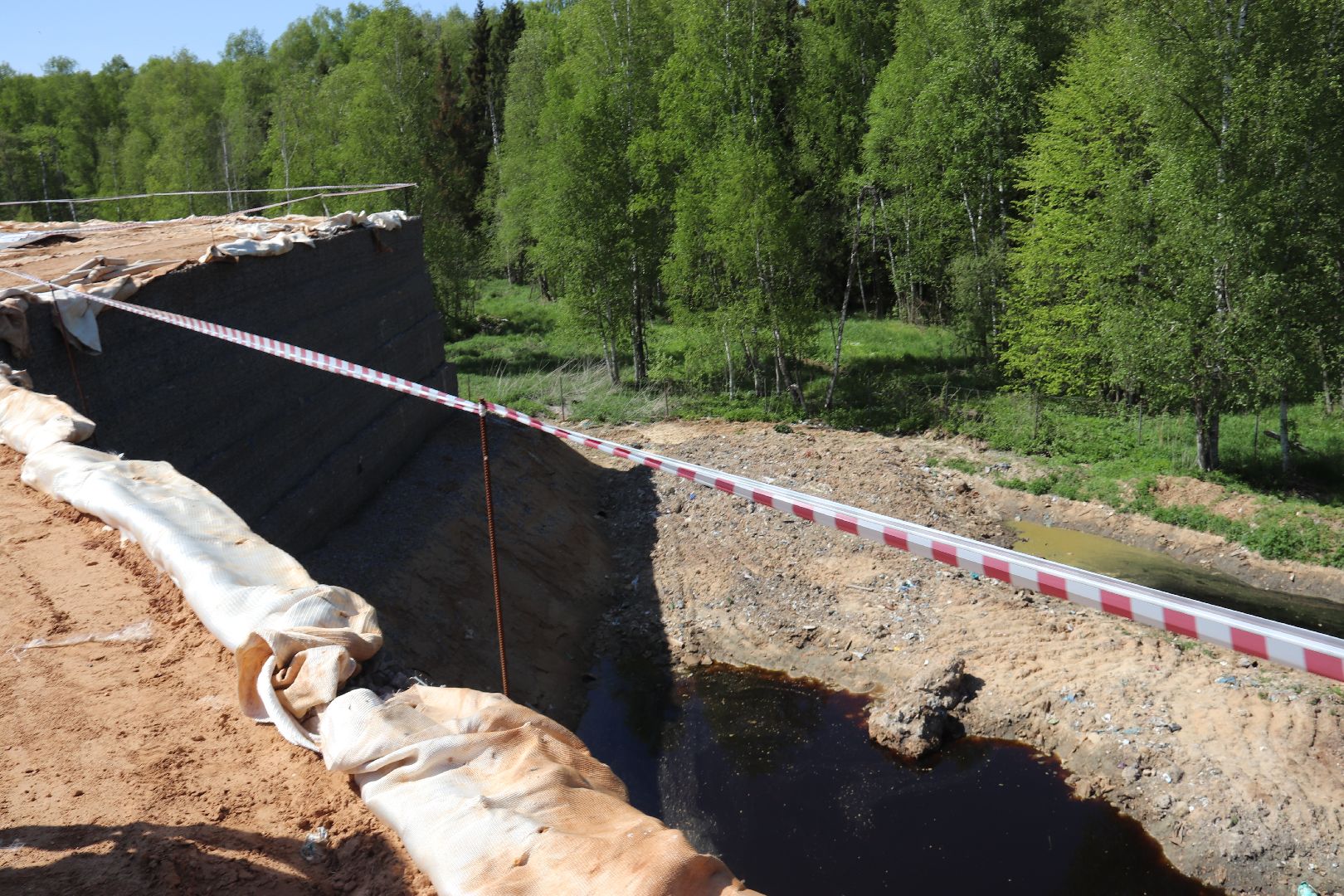 #Талдомскийокруг #рекультивацияполигона #экология #экологическаябезопасность #рекультивация