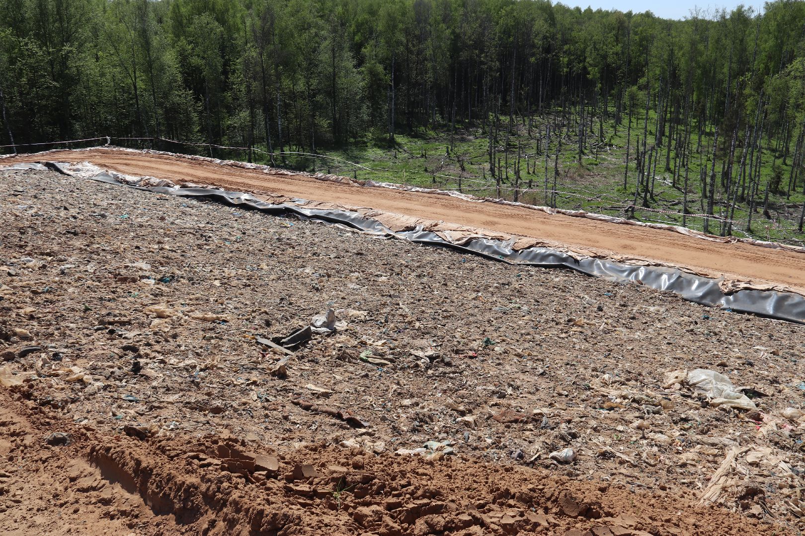 #Талдомскийокруг #рекультивацияполигона #экология #экологическаябезопасность #рекультивация