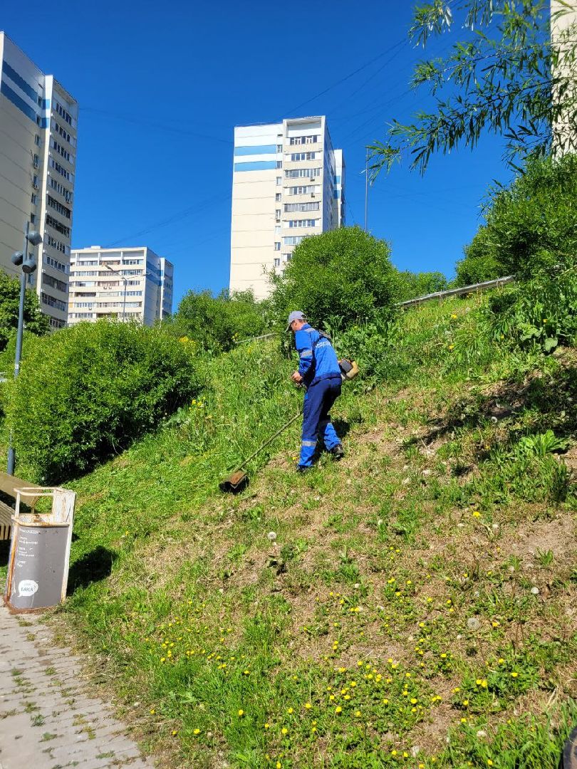 лето, ленинский округ, сезонные работы, покос