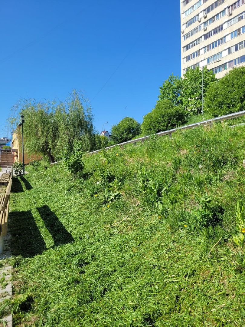 лето, ленинский округ, сезонные работы, покос