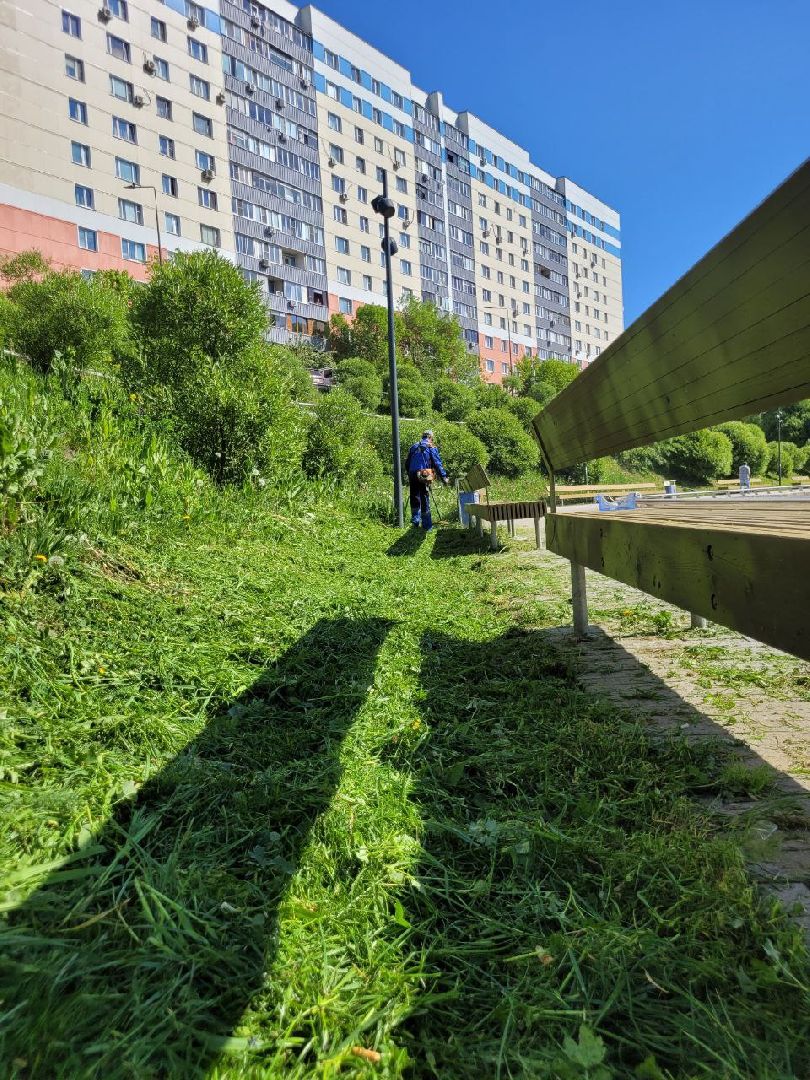 лето, ленинский округ, сезонные работы, покос