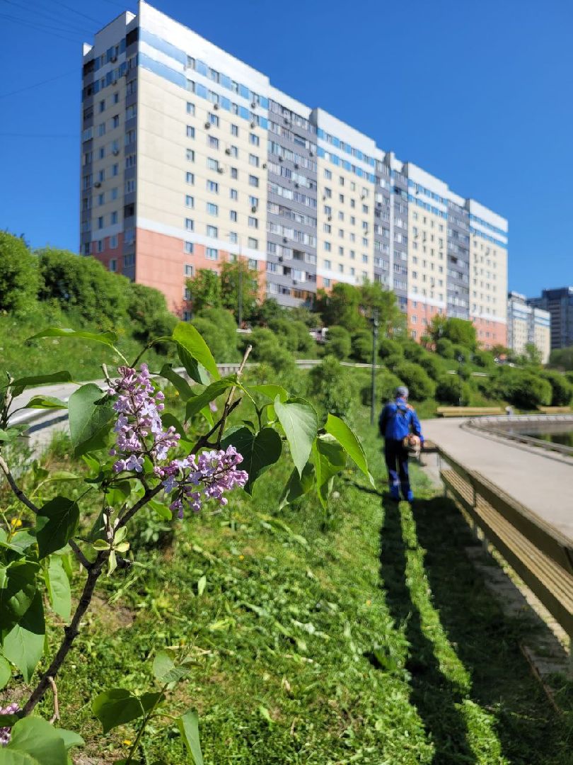 лето, ленинский округ, сезонные работы, покос