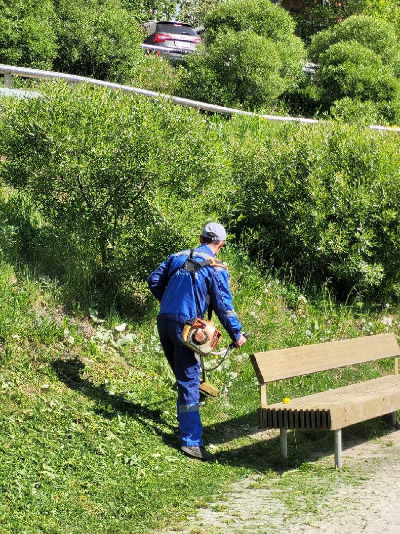 лето, ленинский округ, сезонные работы, покос